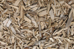 biomass boilers Pilsgate